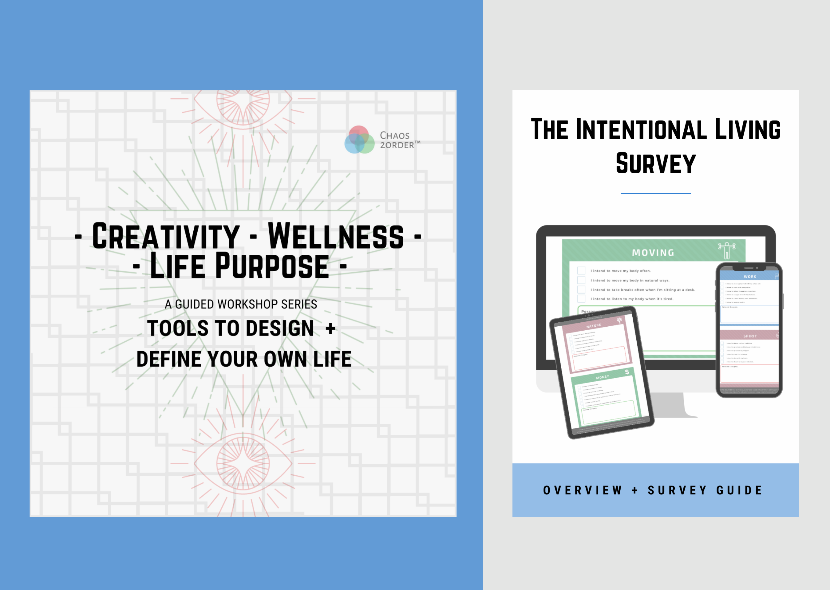 Creativity - Wellness - Life Purpose - Guided Workshop Series, The Intentional Living Survey Guide